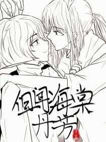 狼导航入口